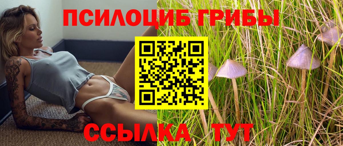 Уварово  Псилоцибиновые грибы ЛСД  Вход с VPN  Галлюциногенные грибы Psilocybe 