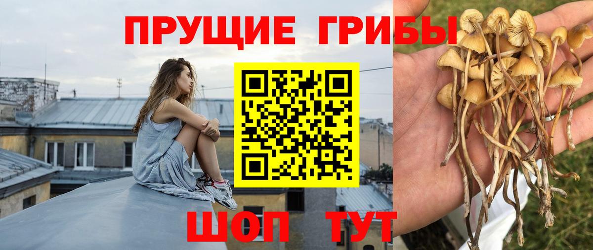 Галлюциногенные грибы прущие грибы Уварово